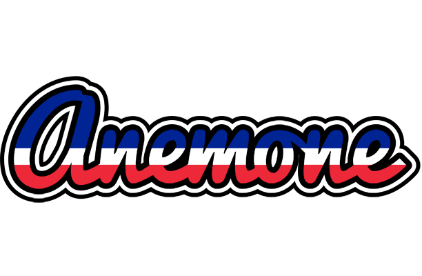 Anemone france logo