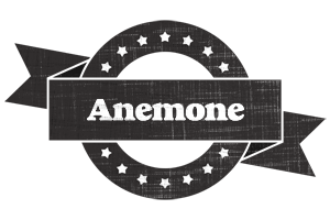 Anemone grunge logo