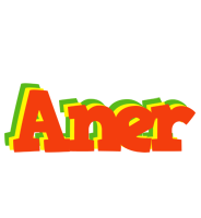 Aner bbq logo