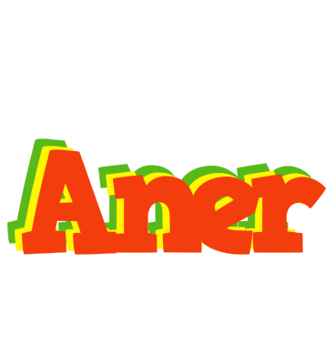 Aner bbq logo