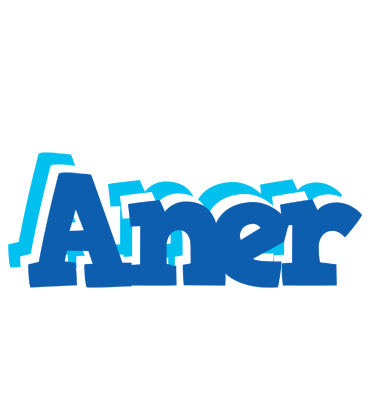 Aner business logo