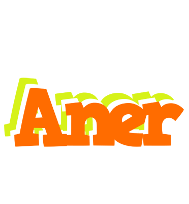 Aner healthy logo