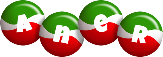 Aner italy logo