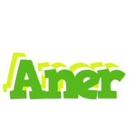 Aner picnic logo