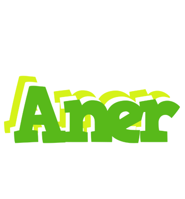 Aner picnic logo