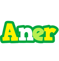 Aner soccer logo