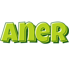 Aner summer logo