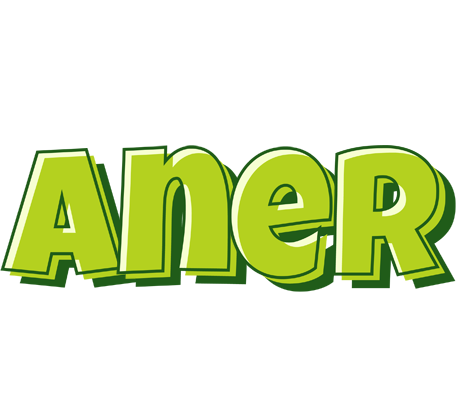 Aner summer logo