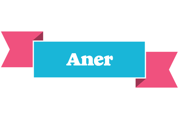 Aner today logo