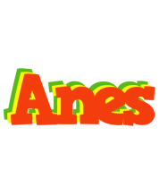 Anes bbq logo