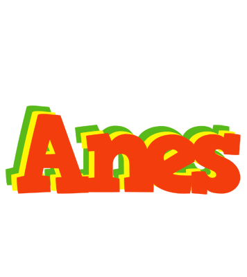 Anes bbq logo
