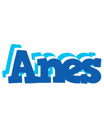 Anes business logo