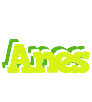 Anes citrus logo