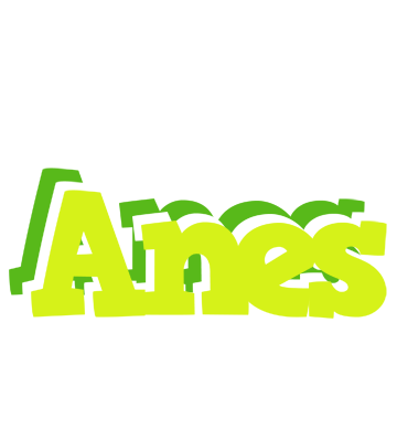 Anes citrus logo