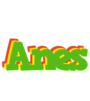 Anes crocodile logo