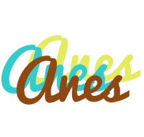 Anes cupcake logo