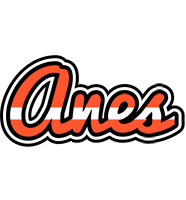 Anes denmark logo