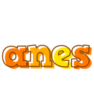 Anes desert logo