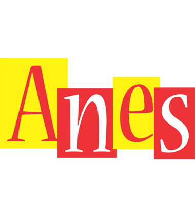 Anes errors logo