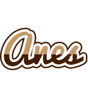 Anes exclusive logo