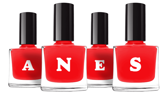 Anes fashion logo