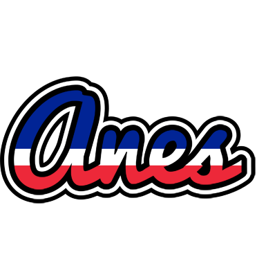 Anes france logo