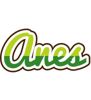 Anes golfing logo