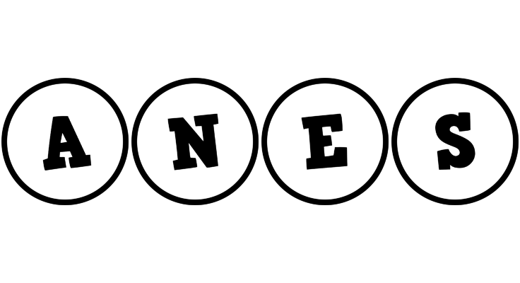 Anes handy logo