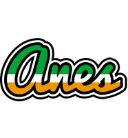 Anes ireland logo