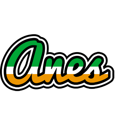 Anes ireland logo
