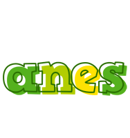 Anes juice logo