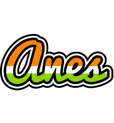 Anes mumbai logo