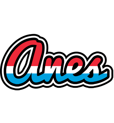 Anes norway logo