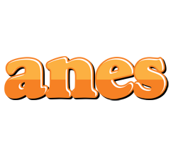 Anes orange logo