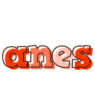 Anes paint logo