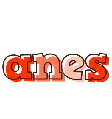 Anes paint logo