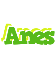 Anes picnic logo