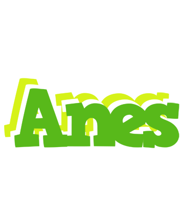 Anes picnic logo