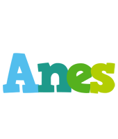 Anes rainbows logo