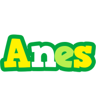 Anes soccer logo