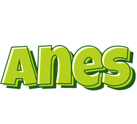 Anes summer logo