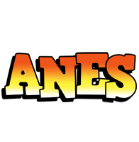 Anes sunset logo