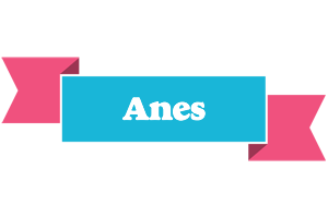 Anes today logo