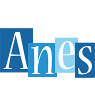 Anes winter logo