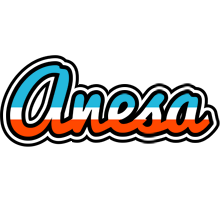 Anesa america logo