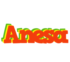 Anesa bbq logo