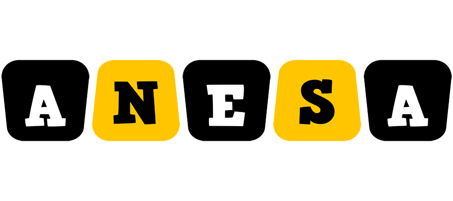 Anesa boots logo