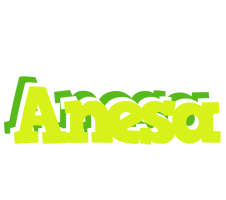 Anesa citrus logo