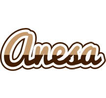 Anesa exclusive logo