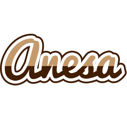 Anesa exclusive logo